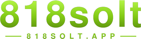818solt logo